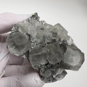 May include: A cluster of grey, translucent, cubic crystals with a slightly metallic sheen. The crystals are arranged in a random pattern and are set against a white background.