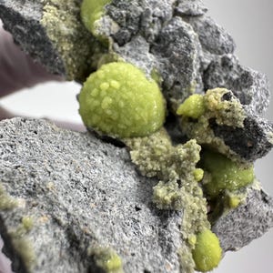 May include: A mineral specimen featuring a dark gray, porous, rocky matrix embedded with clusters of vibrant, lime-green, spherical crystal formations. The surface texture is rough and uneven, with small, granular, yellow-green mineral deposits.