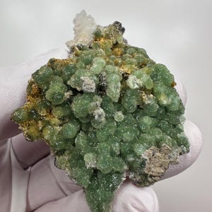 May include: A cluster of green mineral formations with a crystalline structure. The mineral has a bubbly texture and is set against a neutral background. The mineral is held by a gloved hand.