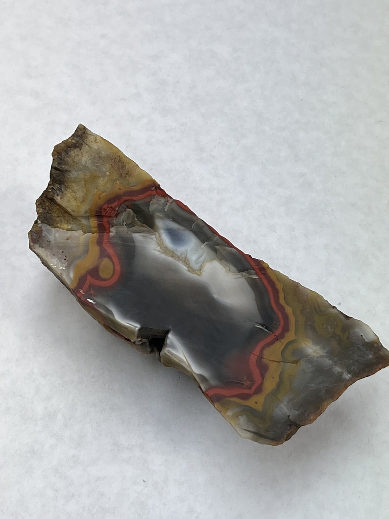 Large Natural Kentucky Agate Rough From Estill County Etsy