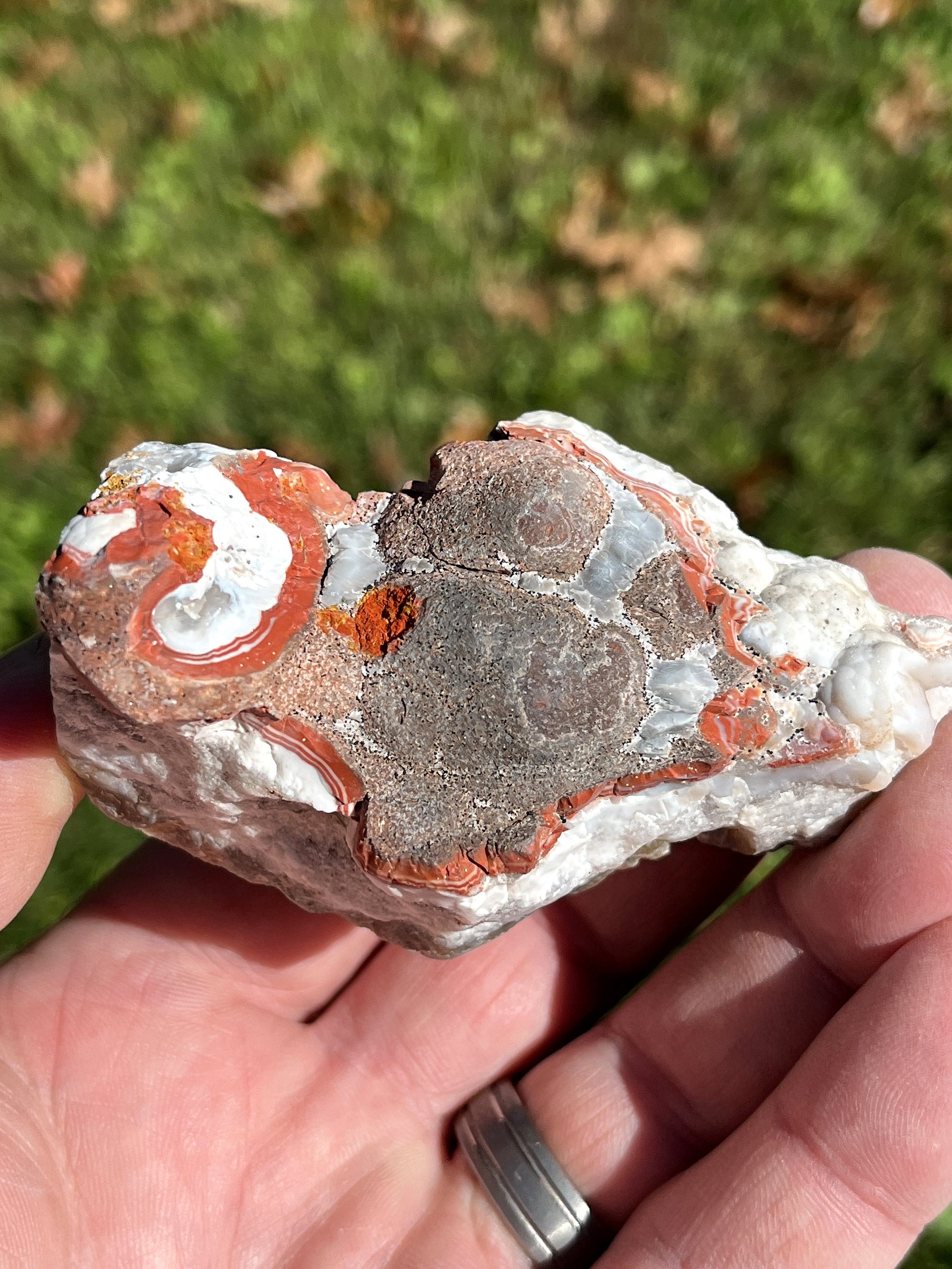Large Natural Kentucky Agate Rough From Estill County Etsy