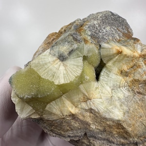 May include: A close-up of a mineral specimen featuring a rough, gray-brown rock base. The rock is adorned with clusters of radiating, fan-like formations in shades of pale green and off-white, creating a striking contrast.