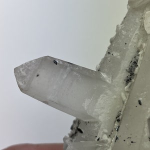 Japan Twin___Rare 10 1/8-inches___Inner Mongolian Laser Wand Lemurian Quartz Crystal Cluster with Specularite Hematite
