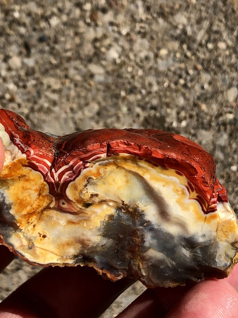 Large Natural Kentucky Agate Rough From Estill County Etsy