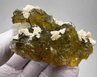 Puede incluir: Un espécimen mineral que presenta cristales cúbicos translúcidos de color verde oliva agrupados. El conjunto está acentuado con pequeñas formaciones minerales opacas, de color blanco roto y forma de lámina, dispersas sobre las superficies superiores.