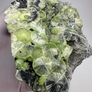 Puede incluir: Un espécimen mineral natural con racimos de cristales verde claro radiantes sobre una matriz gris oscuro. Los cristales tienen un patrón radial y la apariencia general es áspera y texturizada.