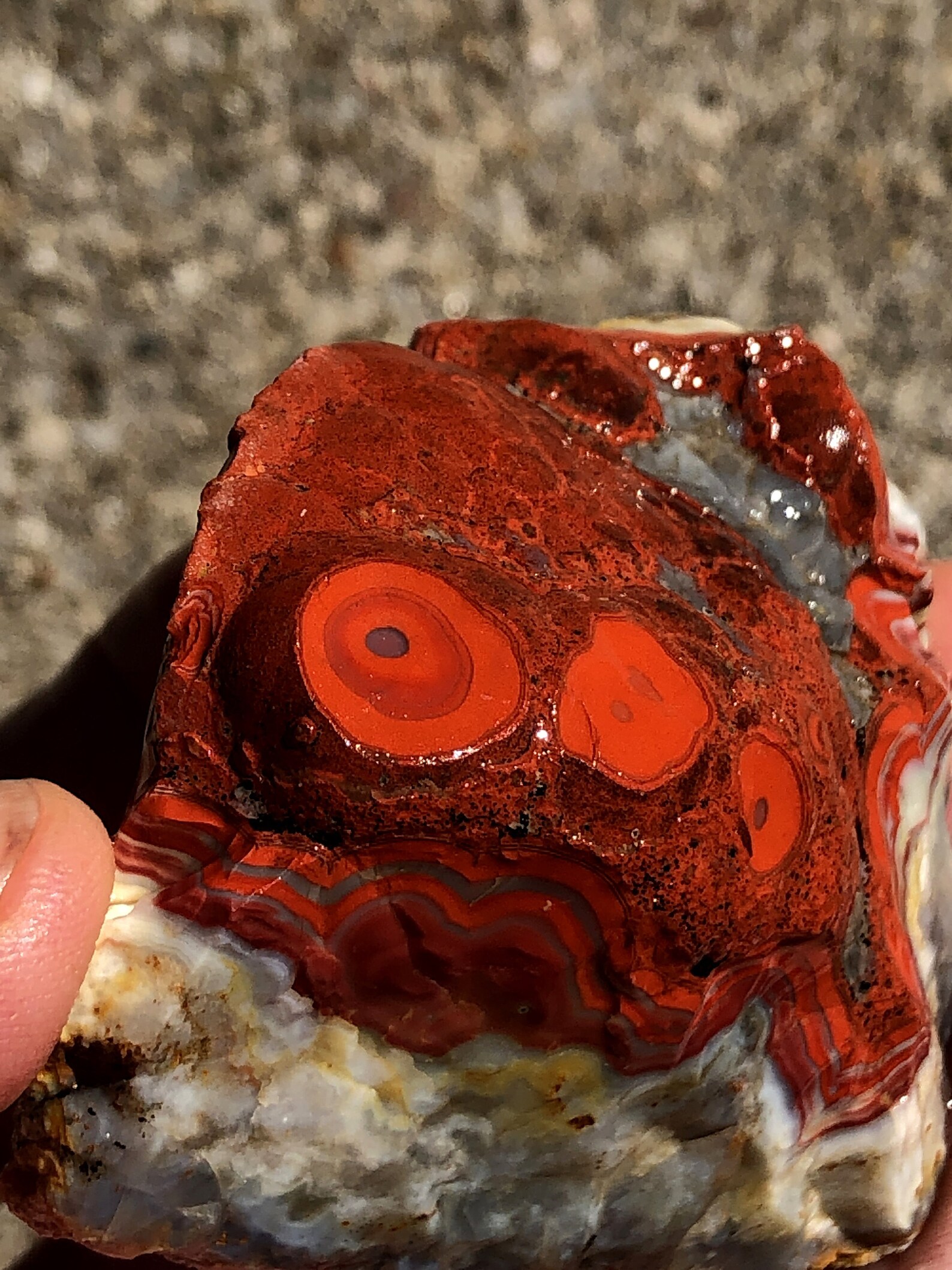 Large Natural Kentucky Agate Rough From Estill County Etsy