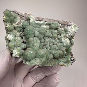 May include: A light green mineral specimen with a bubbly, botryoidal texture. The mineral is a pale green color and is attached to a dark, rough matrix. The specimen is held by a gloved hand.