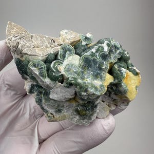 May include: A mineral specimen featuring dark green, spherical, radiating crystal clusters embedded in a light tan and grey rocky matrix. The circular formations display a distinct internal fibrous structure with visible radial patterns throughout.