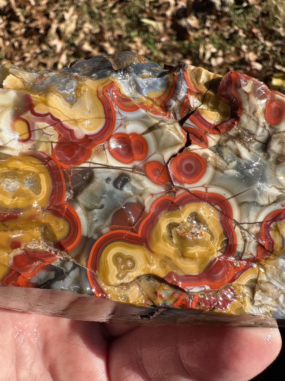 Large Natural Kentucky Agate Rough From Estill County Etsy