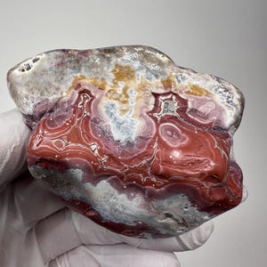 RARE Large Tumbled Kentucky Agate Palm Stone from Estill County, Kentucky
