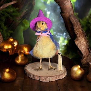 May include: A whimsical duckling figurine dressed as a witch, wearing a purple hat and cape, standing on a wooden slice. A miniature broom rests beside it. The background features golden mushrooms and a forest setting.