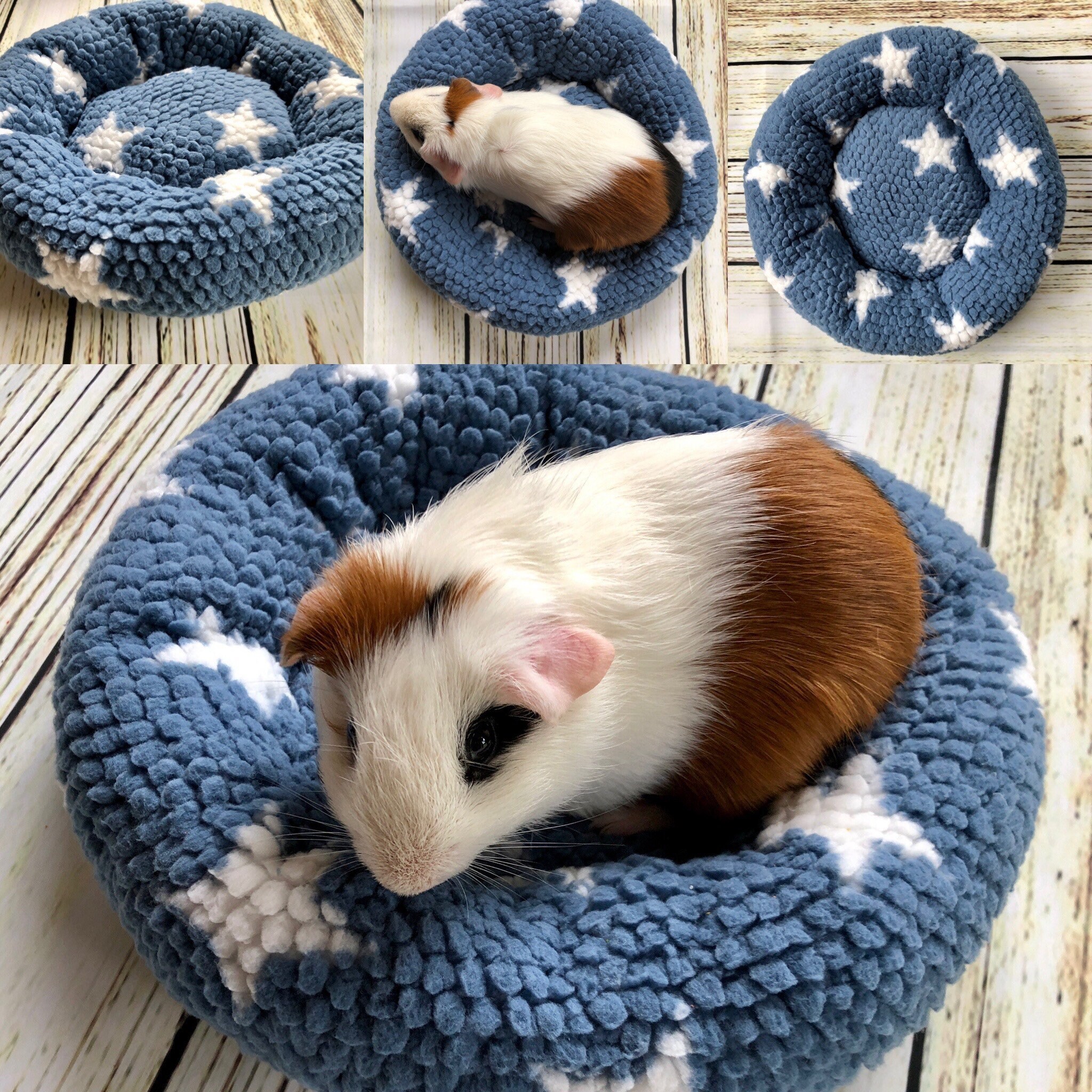 guinea pig bedding