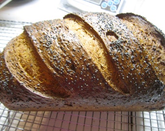 Swedish Rye Sourdough Starter