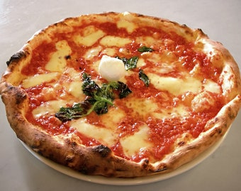 Italian Sourdough Starter from Schia Island, Naples in the bay of Naples. . The Original Pizza