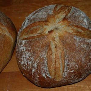 Alaskan Sourdough Starter