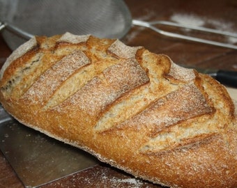 Italian Sourdough Starter, from: Ischia Island, Southern Italy.