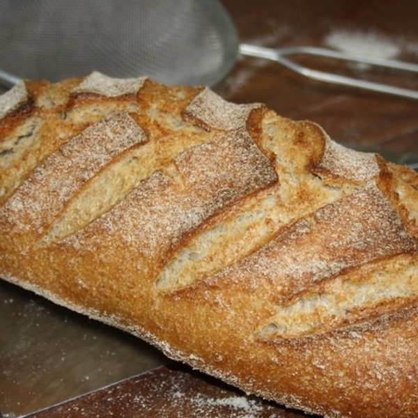 Italian Sourdough Starter, from: Ischia Island, Southern Italy.