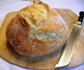 Camaidoli Sourdough Starter from Tuscany
