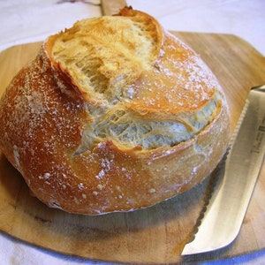 Camaidoli Sauerteig Starter aus der Toskana