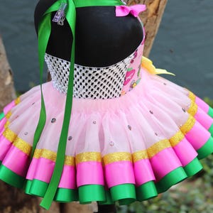barney birthday dress 8 Bday ideas