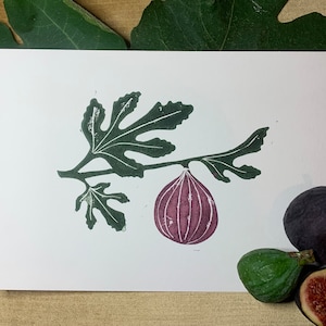 May include: A green and purple linocut print of a fig branch with a single fig hanging from it. The print is on white paper and is surrounded by real figs.