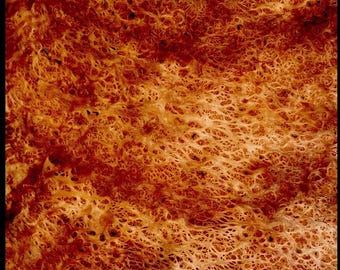 Redwood Burl Veneer Sheets: 19x18 Inch Book Matched Craft Wood for Guitar Bodies, Humidors Boxes