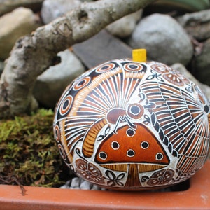 Peruvian Hand-carved Big Box Trinket Container Gourd Decoration Butterfly Design New (#1.4)