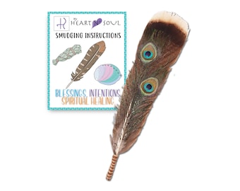 Smudge Feather, Turkey and Peacock, Unique Homecrafted Energy Cleansing Clearing Spiritual Practice House Smudging