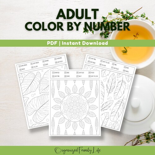 Adult Color by Number Printable PDF Printable Coloring - Etsy