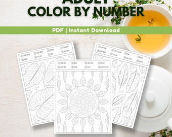 Mandala Color By Number Printable for Adults (PDF)