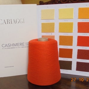 Cariaggi Garn 100% Kaschmir grösse 2/28. Farbe Poppy n 22645. Zapfen Gr 550.