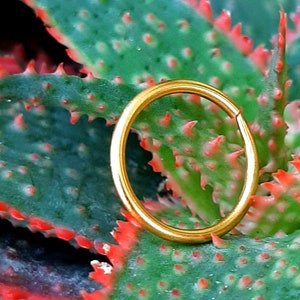 24k Gold Earrings - 24k Earrings - 24K Hoop Earrings- Tiny Gold Earrings - Tiny Hoop Earrings - Solid 24k Gold - Gold Earrings -