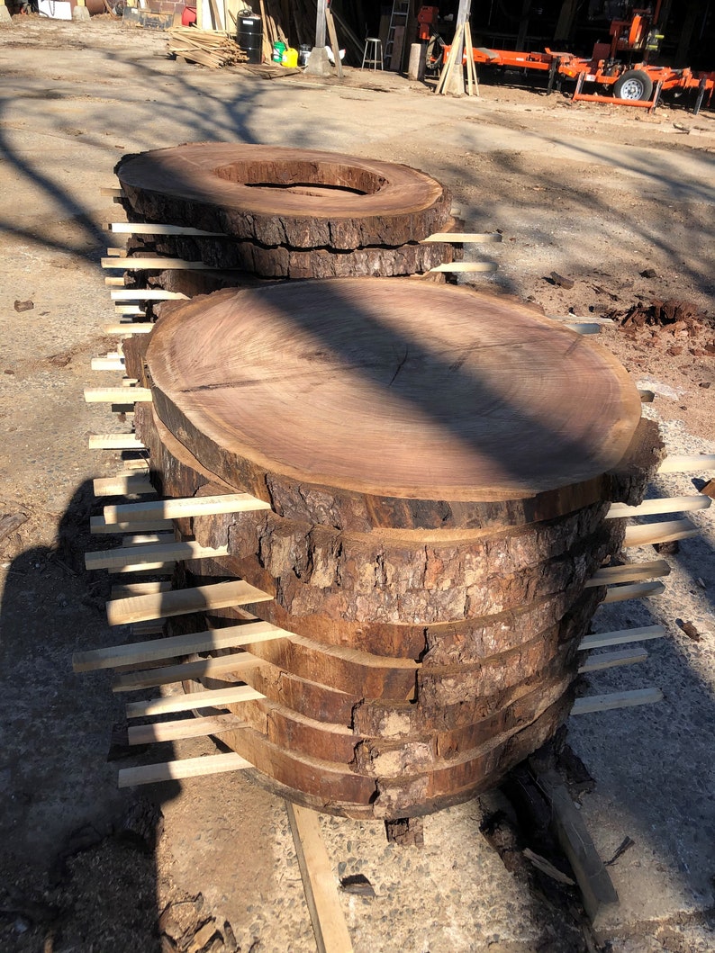 Live Edge Rounds Spalted Maple With Clear Epoxy Resin Shell Etsy