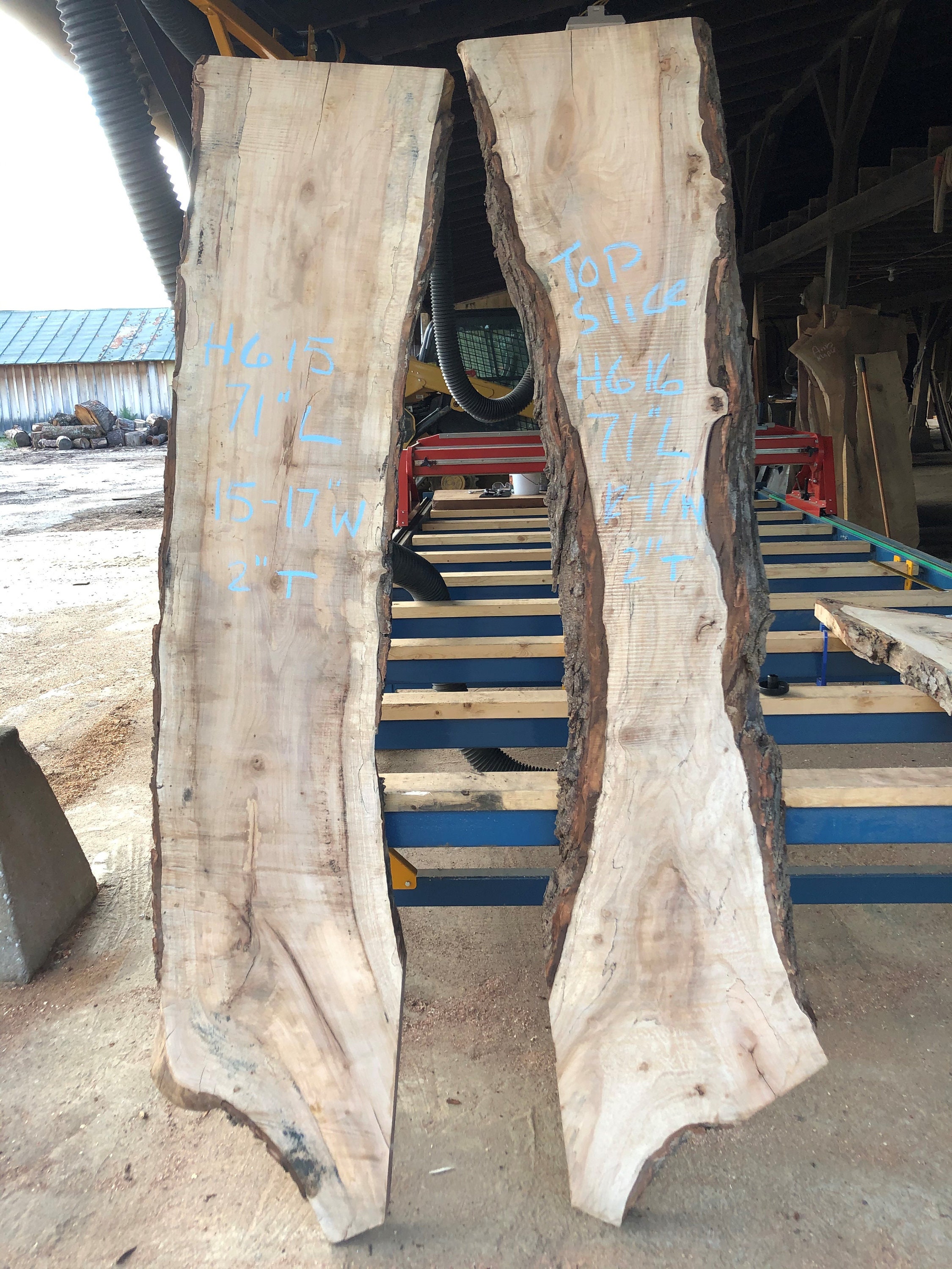 Hickory Live Edge Slabs Extra LARGE up to 104 long Etsy