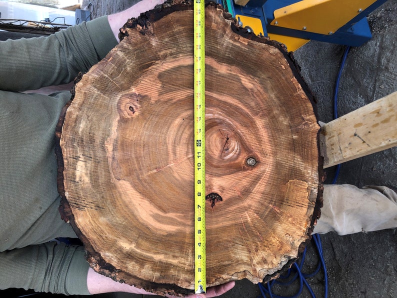 Live Edge Rounds Spalted Maple With Clear Epoxy Resin Shell Etsy