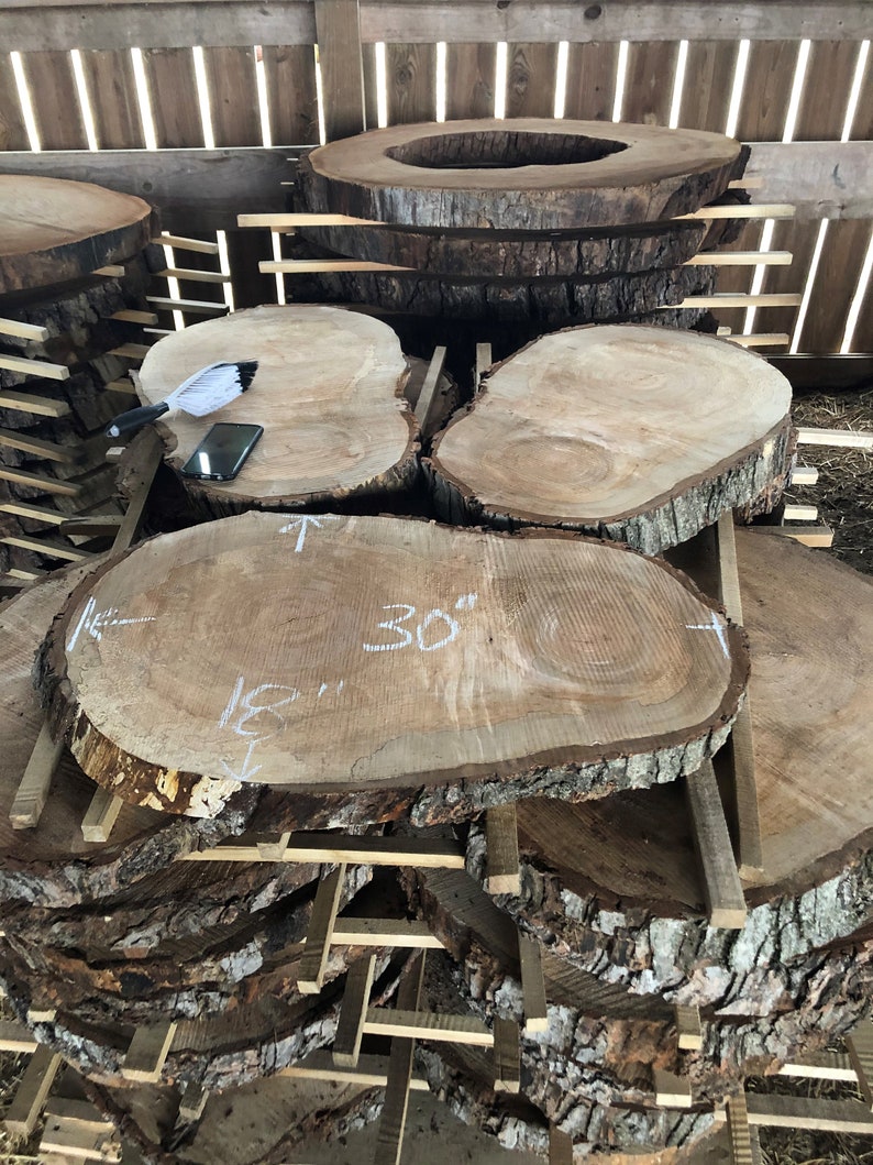 Live Edge Rounds Spalted Maple With Clear Epoxy Resin Shell Etsy