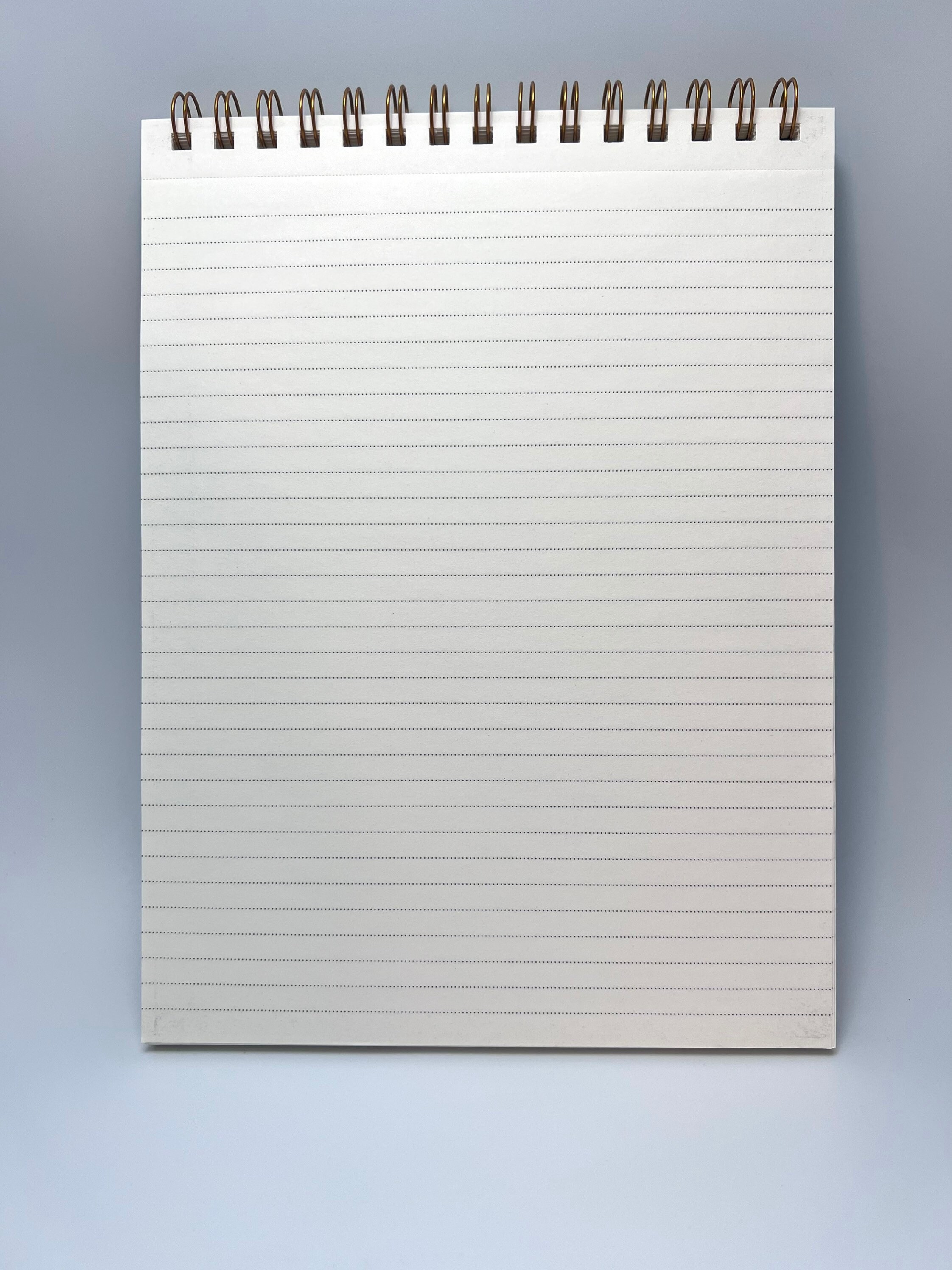 CLEMENTINE Notebook Journal 10.75L X 8.25W, 200 Pages, Hard Cover, Top