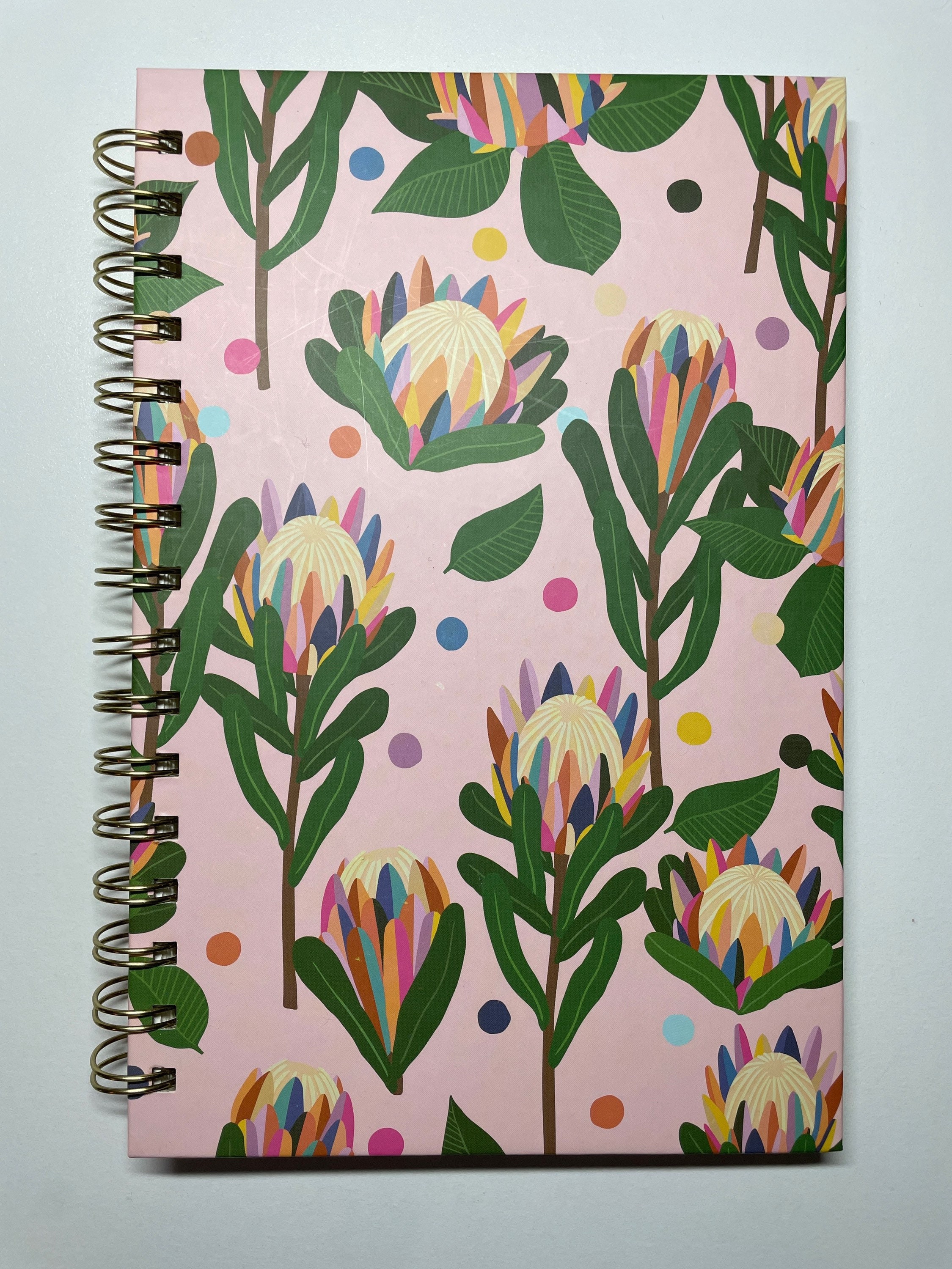 OCS DESIGNS make Today Ridiculous Amazing Notebooks, Journals 8.75L X 5 ...