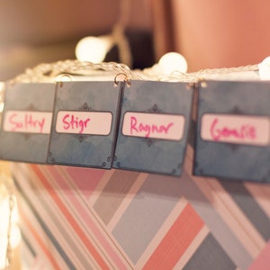 May include: Four blue cards with white borders and pink writing hang from a string of white lights. The cards are labeled "Sultry", "Stigr", "Ragnar", and "Gormla".
