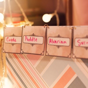 May include: Four beige labels with pink writing on a striped background. The labels are labeled "Cayde", "Puddle", "Alvarian", and "Sven".