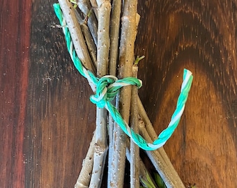 May include: A bundle of thin, gray twigs with green leaf buds tied together with a green and white twine. The twigs are arranged in a fan shape on a brown wooden surface.