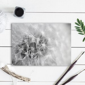 Dente di Leone fiore foto arte stagione fotografia stampe regali per anniversario di matrimonio compleanno personalizzato biglietti di auguri