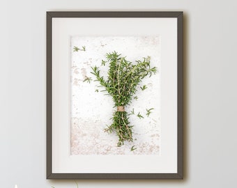 Rosemary Herb Print, Cooking with Herbs, Minimalist Wall Decor, Farmhouse Kitchen Art || 'Tuscan Rosemary'