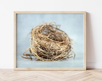 Birds Nest Fine Art Print, Minimalist Nature Photography, Natural Bird Nest Photo, Modern Farmhouse Home Decor, Large Wall Art 'EL NIDITO'.