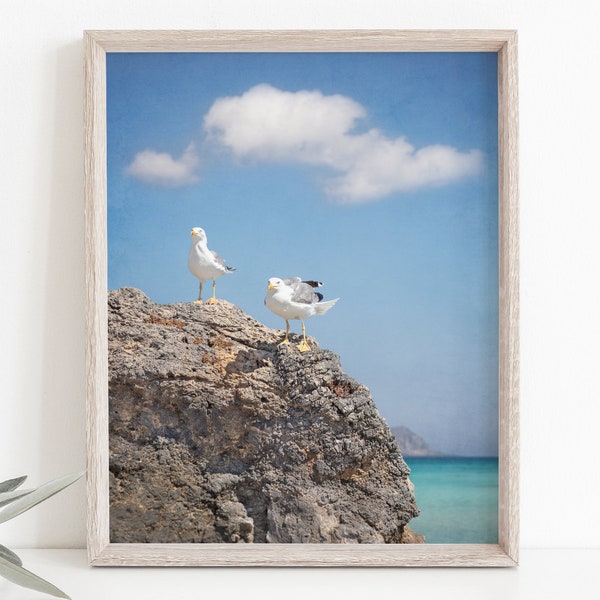 Elafonissi Seagulls fine art photography print | Seagulls at world-famous beach on Crete in the Greek Islands l Two Mediterranean Sea birds