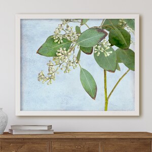 Eucalyptus Sprig Print Botanical Wall Art White Flower Photography French Country Kitchen  // Rametto di Eucalipto