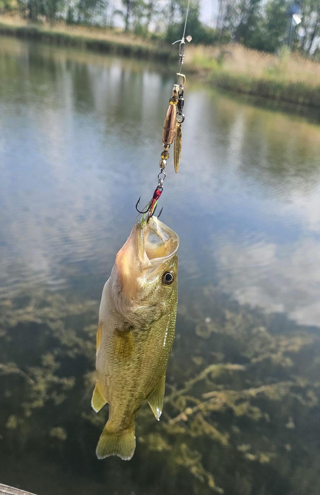 James Henry Bullet Fishing Lure .223 Amber Bullet - Etsy