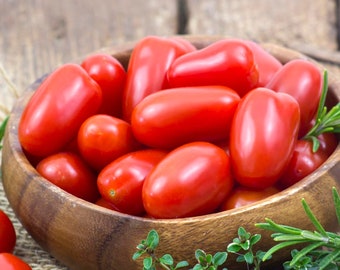 Roma Tomato Seeds - Organic & Non Gmo Tomato Seeds - Heirloom Seeds – Vegetable Seeds - USA Garden Seeds - Grow Your Own Food From Seed!