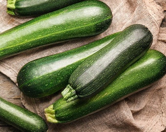 Black Beauty Zucchini Seeds - Organic & Non Gmo Zucchini Seeds - Heirloom Vegetable Seeds - Fresh USA Grown Seeds - Grow Your Own Zucchini